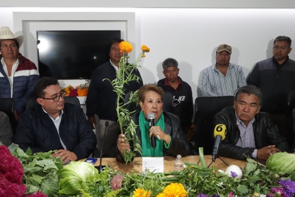 Impulsan en el Congreso del Estado a productores de flor de cempasúchil y terciopelo