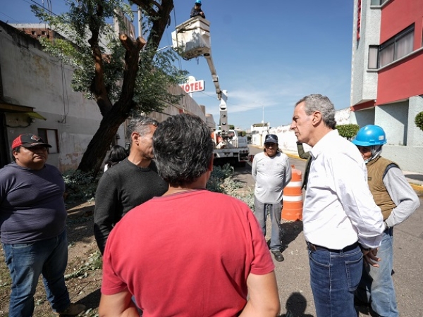 Pepe Chedrahui supervisa acciones ante la posible caída de un árbol