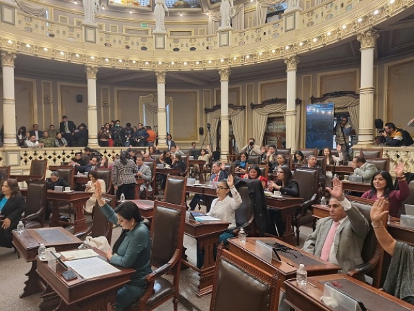 Elementos de seguridad privada deberán someterse a pruebas de control de confianza; aprueba Congreso