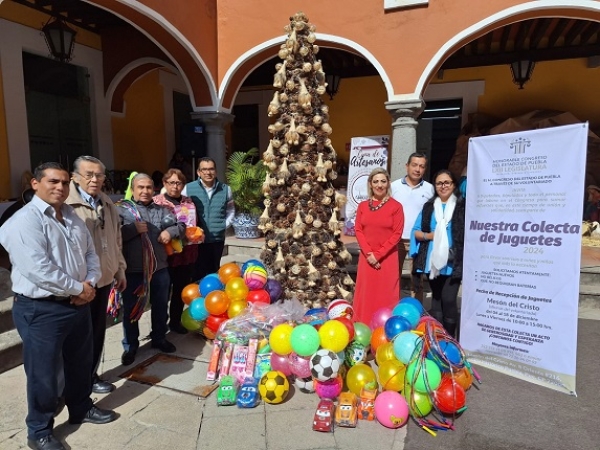 Voluntariado del Congreso entrega juguetes al Sistema DIF para su distribución