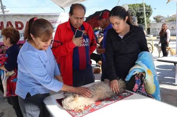 Gobierno de la Ciudad lleva Jornada de Bienestar Animal a Colonia Minerales del Sur