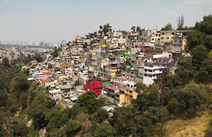 En riesgo, animales y plantas que viven en la megalópolis mexicana