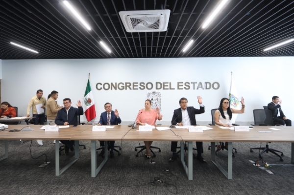 Avala Comisión del Congreso reformas a la Constitución Federal, en materia de simplificación administrativa y digitalización