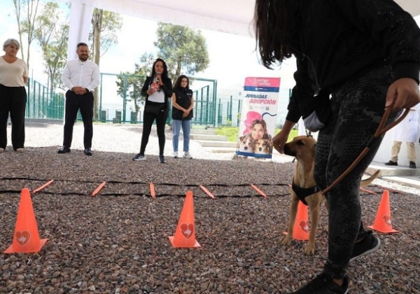 Inicia la Semana del Bienestar Animal en Puebla capital