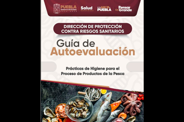 DPRIS pone a disposición 44 Guías de Autoevaluación para fortalecer el cumplimiento sanitario