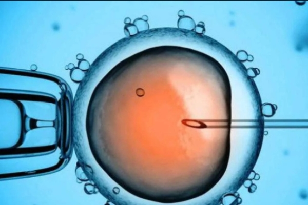 Es mexicano, primer bebé concebido in vitro con asistencia de la IA