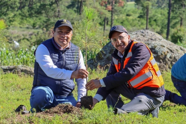 Granjas Carroll de México reforesta con más de 15 mil árboles el ejido Tenextepec