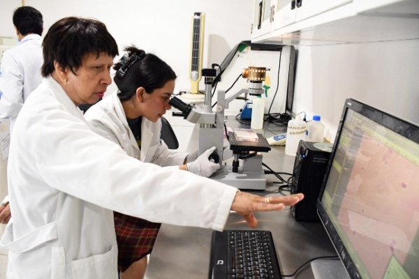 Con modelos computacionales, investigadores BUAP predicen y describen la regeneración epitelial